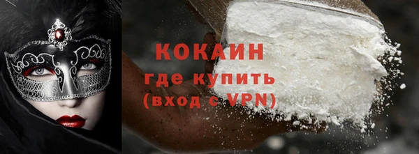 твердый Алексин