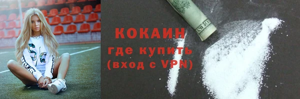 твердый Алексин