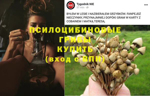 гашик Алексеевка